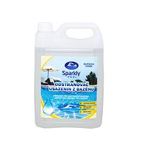 Čistič bazéna - odstraňovač usadenín 5 l SPARKLY POOL 938078
