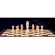 Kráľovský šach Populárne 101592210