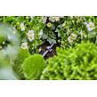 Micro-Drip-System Držiak na rúrky 3/16", 15 ks GARDENA 13218-29