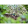 Micro-Drip-System Držiak na rúrky 3/16", 15 ks GARDENA 13218-29