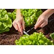 MDS Spojka 4,6 mm GARDENA 13213-20